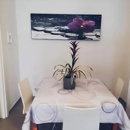 Nicolhouse Apartment